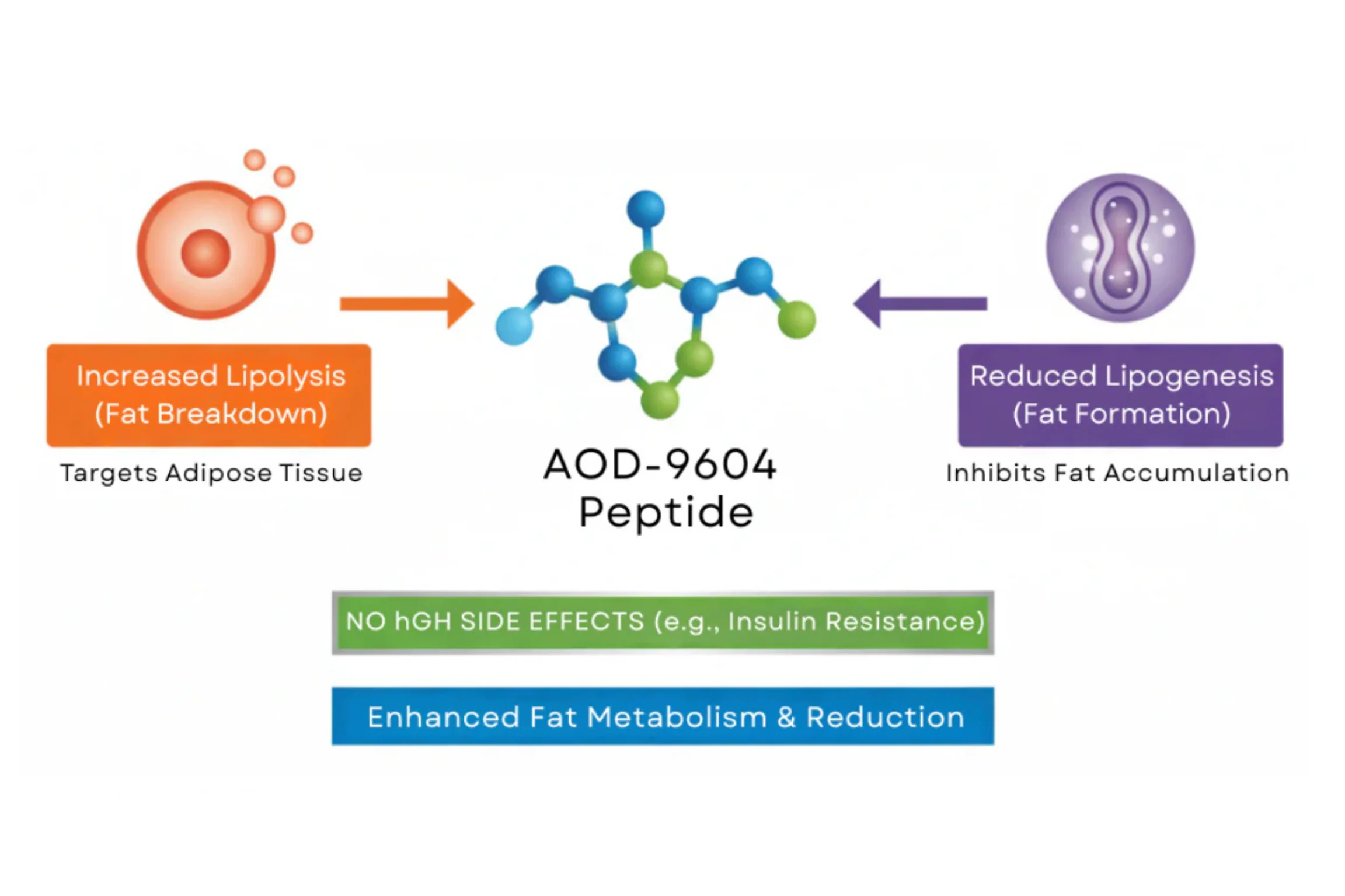 AOD-9604 – 5mg